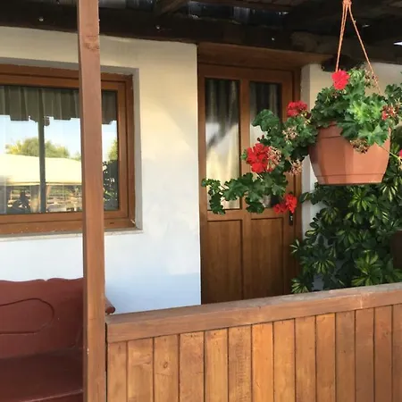Balatonkenesei Nadfedeles Lovas Vendeghaz Tatil Evi *