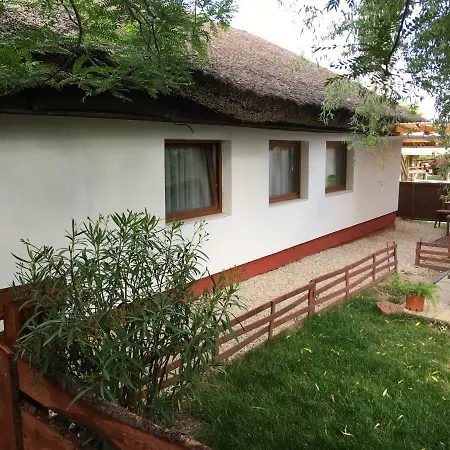 Tatil Evi Balatonkenesei Nadfedeles Lovas Vendeghaz Balatonkenese