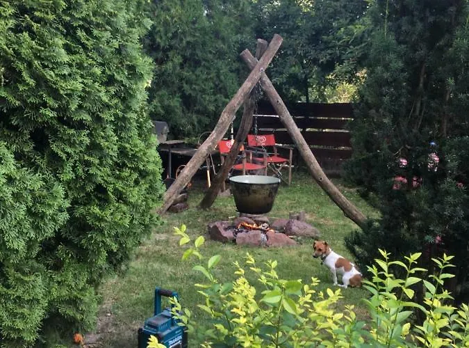 Feriehus Balatonkenesei Nadfedeles Lovas Vendeghaz *